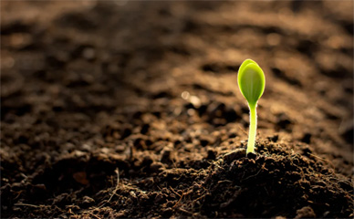 roots blower applications soil remediation, roots blower for soil remediation, roots blower applications